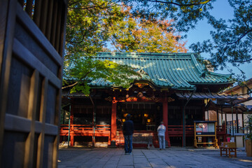 紅葉が鮮やかな赤坂氷川神社の境内