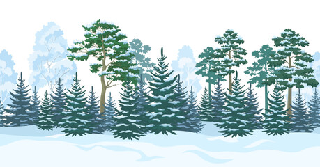 Seamless Horizontal Christmas Winter Forest Landscape with Trees and Snow. Vector
