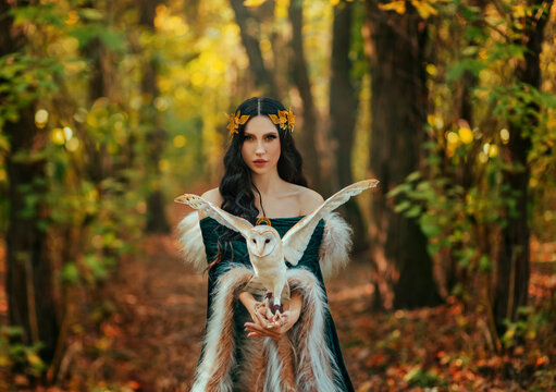 Art photo portrait Fantasy woman goddess elf, white bird barn owl sits on hands flapping wings. Autumn forest trees magical light. Green dress fur. Greek style gold laurel wreath crown. Girl princess