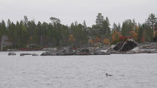 A view of colorful Inarij&auml;rvi in Lapland, Finland, in the autumn