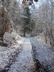 Der erste Schnee in Steigerthal bei Nordhausen