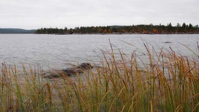 A view of colorful Inarij&auml;rvi in Lapland, Finland, in the autumn