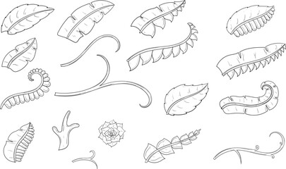 abstract black and white plant object for coloring