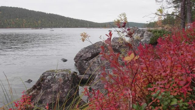 A view of colorful Inarij&auml;rvi in Lapland, Finland, in the autumn