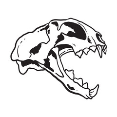 Cat Skull Illustration Coloring Page