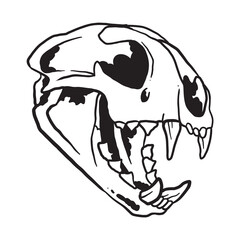 Cat Skull Illustration Coloring Page