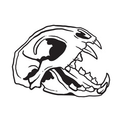 Cat Skull Illustration Coloring Page