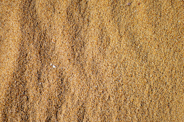 Gold sand texture, background series