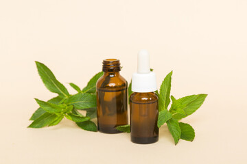 Natural Mint Essential Oil in a Glass Bottle. organic cosmetics with herbal extracts of mint on colored background