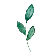 Watercolor Christmas Nutcracker, winter greenery branch with leaves