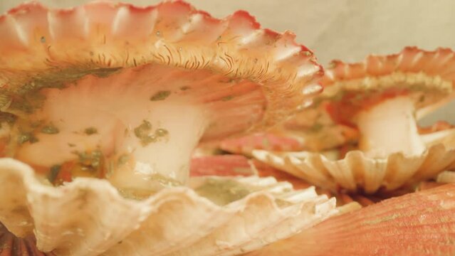 Opened thin shells of live pink-colored sea scallops lying on surface against beige wall at bright studio illumination macro
