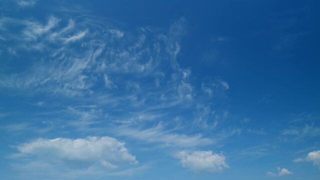 Angel wing shaped cloud against blue heaven. Cirrus clouds in blue sky. Panoramic skyscape. Timelapse.