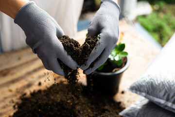 Gardening concept. A young woman mixes soil for planting and prepares the soil for planting...