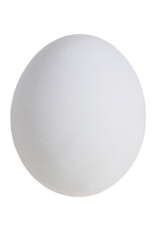 White egg isolate on white background with copy space