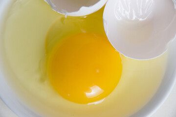 Egg yolk and shell on a plate isolate on a white background