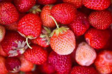 Red ripe strawberries. Fresh organic berries for healthy eating.