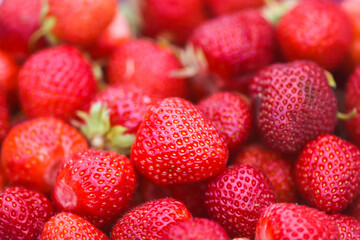 Red ripe strawberries. Fresh organic berries for healthy eating.