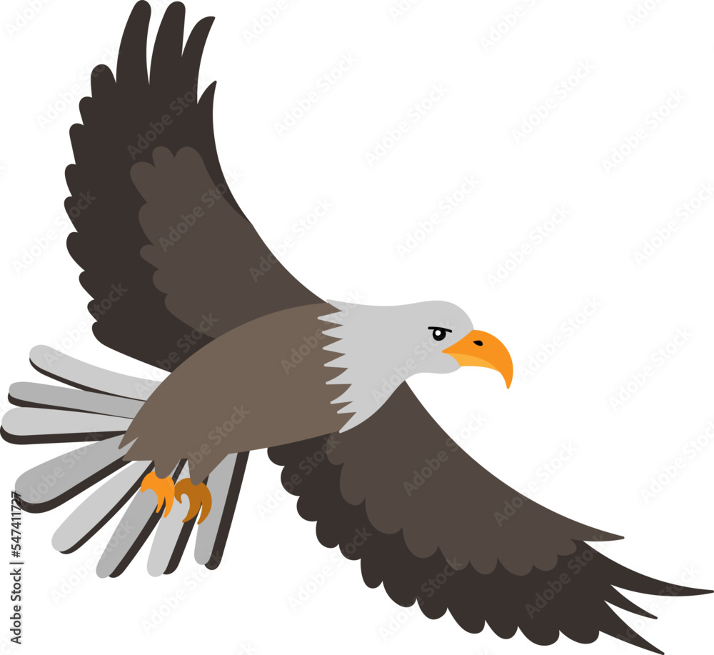 Poster bald eagle. cartoon vector illustration for children isolated on white background.