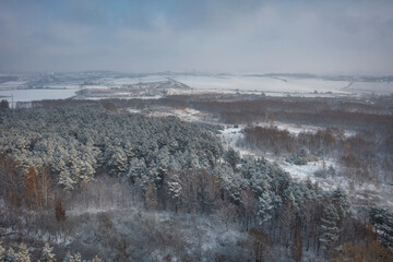 Aerial landscape of the snowy forest at winter, Poland.