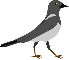 Cute cartoon magpie. Cartoon vector illustration for children isolated on white background.
