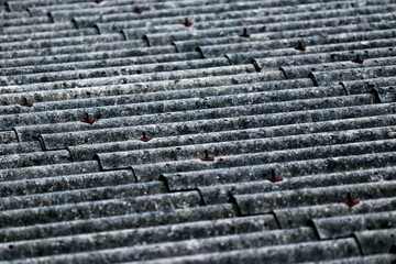 Moss on an old buildings roof