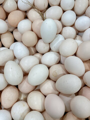pile of eggs on the market