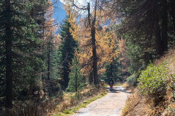 Fototapeta na wymiar Hiker on a hiking trail in the Swiss Alps on a sunny autumn day