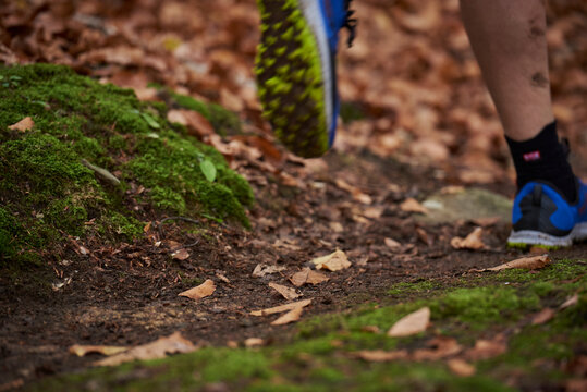 Trail Run