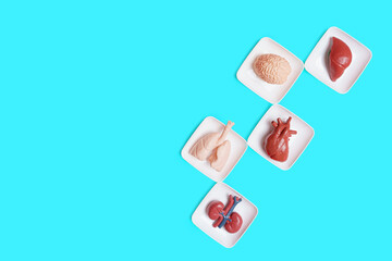 Human anatomy for kids background