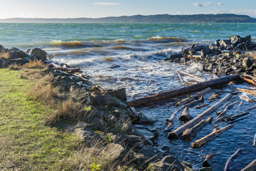 Windy Ocean Landscape