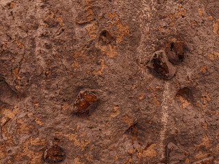 warm brown rough background with pit and crack
