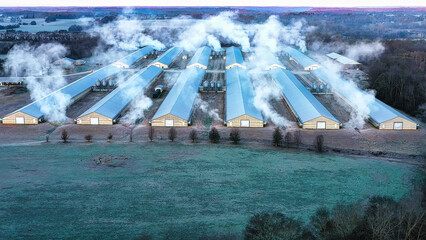 Aerial view of modern commercial poultry broiler houses on a chicken farm with industrial buildings on a cold morning in Tennessee USA.