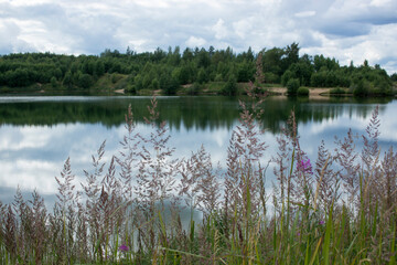 dramatic sunrise over the calm river in spring with bent grass against sun. Daugava, Latvia