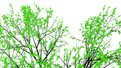 Green leaves png, leaves transparent background, tree png background,