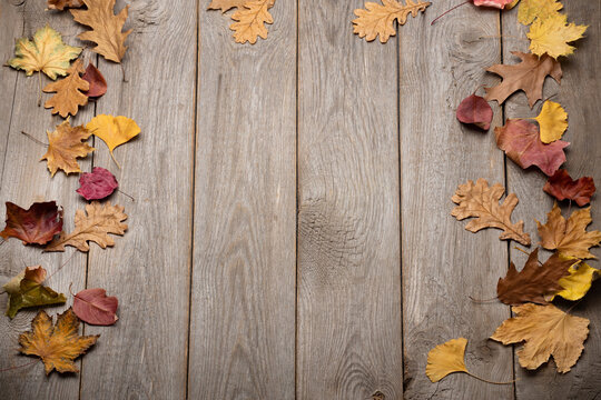autumn fallen leaves on a wooden background, old boards and dry leaves, free space in the center