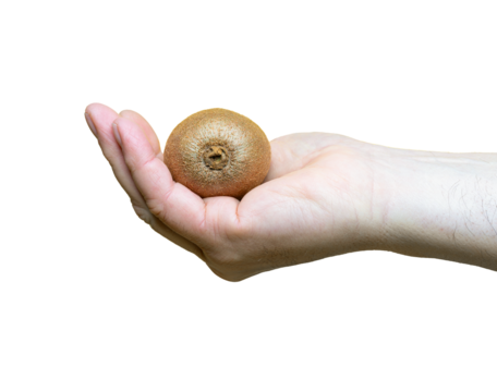 Kiwi fruit