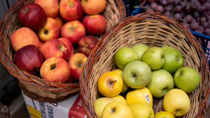 Yellow, Red, Green maple leaves during autumn season with warm sunlight from behind. Fall park on blurry background. Beautiful nature scane, Autumn day concept.