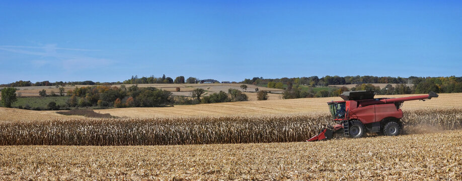 combine harvesting a corn field in Northern Illinois beautiful farm field panorama