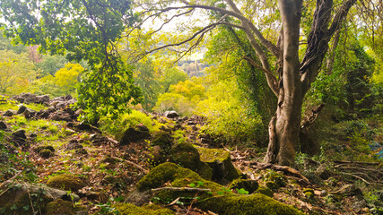 colori e natura della Toscana Senese