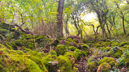 colori e natura della Toscana Senese