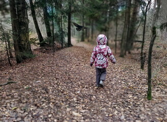 The girl is walking along the forest path. A child in a dense forest. A crow flies over a girl in a dark forest.