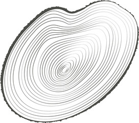 Tree rings wooden log. Circle annual stump texture. Line timber slices.