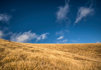 Beautiful hay field with blue sky and clouds in the background © Betim Beqa/Wirestock Creators