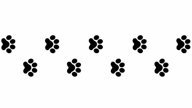 Animated cat black tracks. A cat's paw print appears take turns. Looped video. Vector flat illustration isolated on the white background