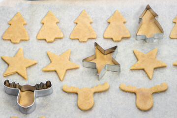 rolled out dough and cutters, preparation for Christmas cookies