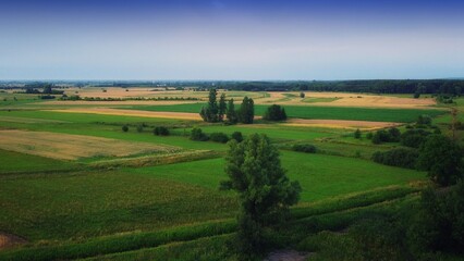 Obraz premium landscape with field and blue sky