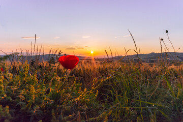 La magia del tramonto © lucaianiri