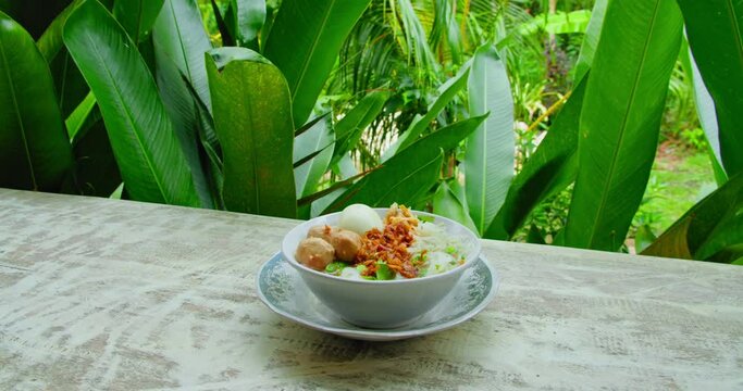 Plate with tasty dish of indonesian traditional food Meatball Chicken Noodles soup or mie bakso ayam served in bowl. Green tropical nature on the background.