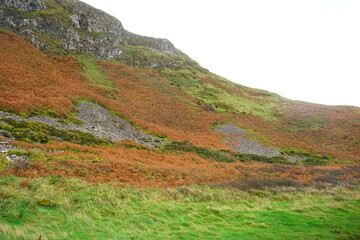 Fototapeta premium Giant's Causeway and Coast, Interlocking Basalt Columns in Antrim, Northern Ireland 
