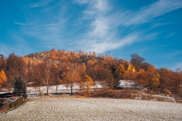 Wald auf Hügel im Mittelgebirge bei blauem Himmel im Herbst / Winter Jahreszeitenwechsel